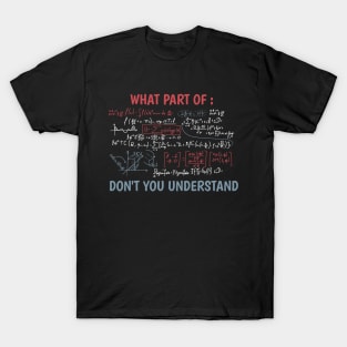 Funny maths quote T-Shirt